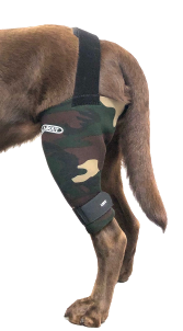 Dog knee brace for limping and joint pain to improve mobility – Walkabout  Harnesses, LLC
