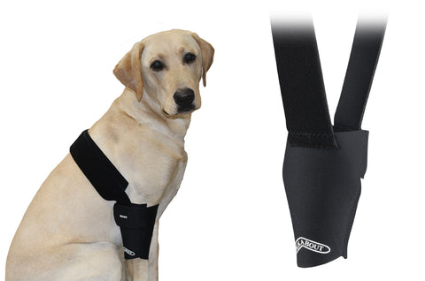 https://www.walkaboutharnesses.com/cdn/shop/products/Elbow-Brace-for-dogs-to-help-stability_large.jpg?v=1655933260