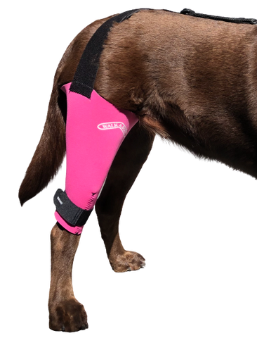 Dog knee brace for limping and joint pain to improve mobility